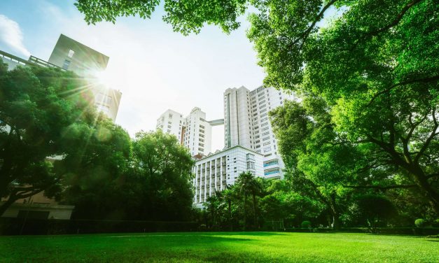 Η ΚΕΔΕ δίνει προτάσεις για πιο πράσινες πόλεις