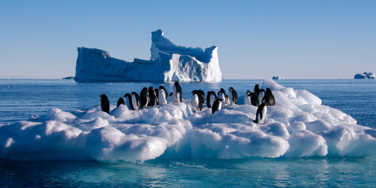 Ανταρκτική: Θερμοκρασία ρεκόρ για πρώτη φορά στα χρονικά